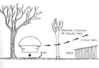 مخطط يظهر الطبق الطائر على هيئة نبات الفطر والأشجار التي ارتطم بها