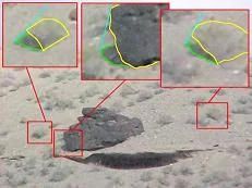 لاحظ إتجاه ظلال الأعشاب البرية وقارنه مع ظل الصخرة